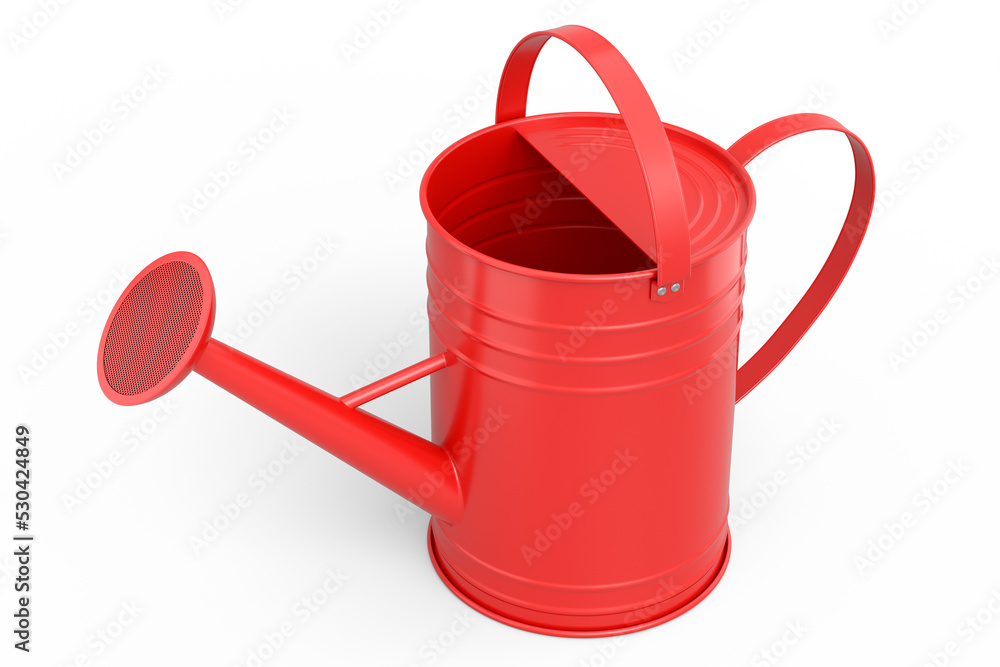 Watering can on white background. 3d render concept of gardening equipment tools