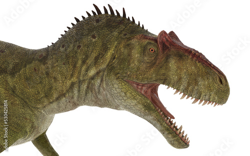 Fototapeta Naklejka Na Ścianę i Meble -  allosaurus