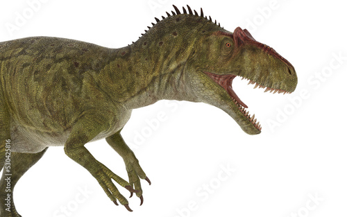 Fototapeta Naklejka Na Ścianę i Meble -  allosaurus