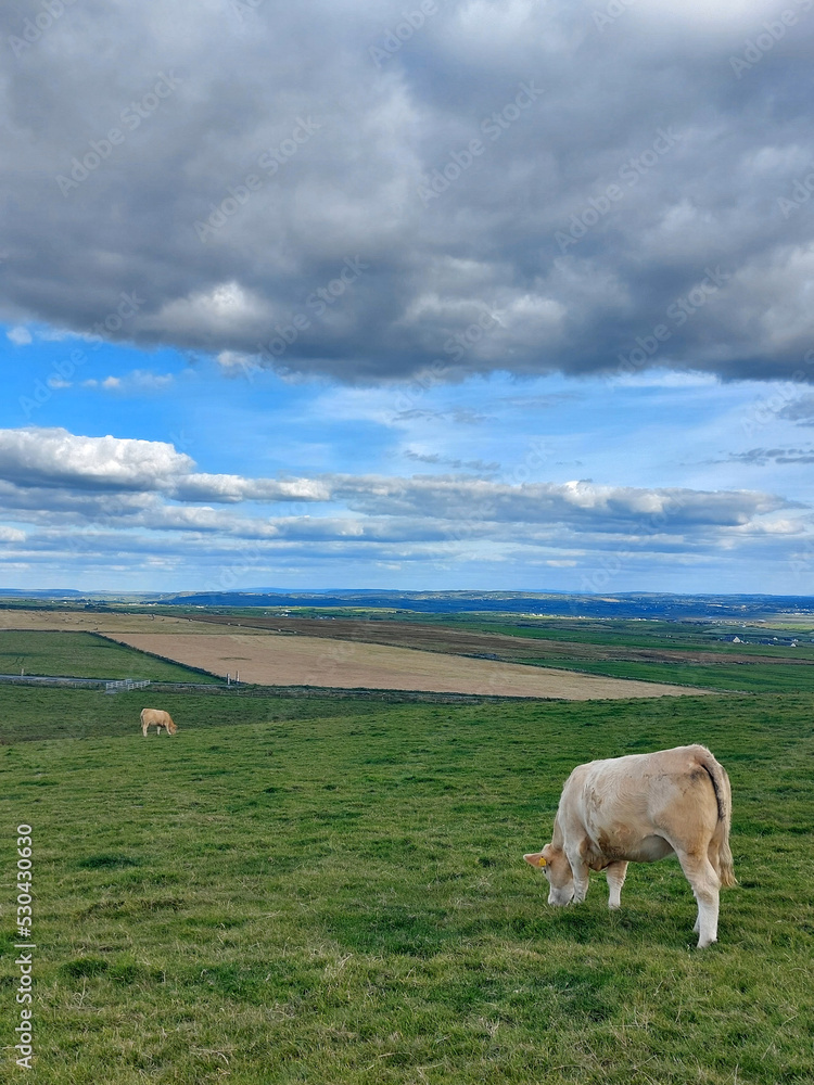 Fototapeta premium Foto panorama Irlanda.