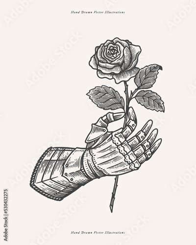 Knight's gauntlet holds a rose in an engraving style. Vintage romantic symbol of the Middle Ages on a light background. Vintage vector illustration for history book design or tattoo template.