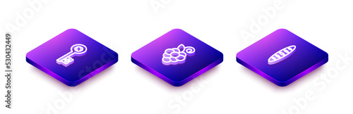 Set Isometric line Old key, Grape fruit and French baguette bread icon. Vector