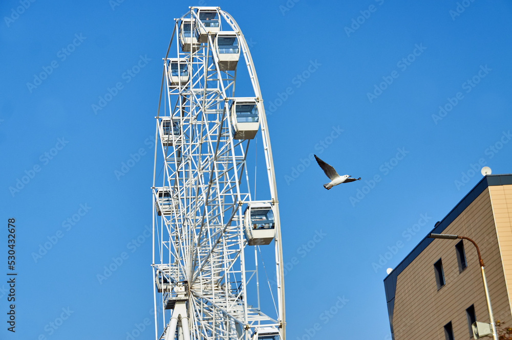 Ferris wheel on the coast of Zelenogradsk.
