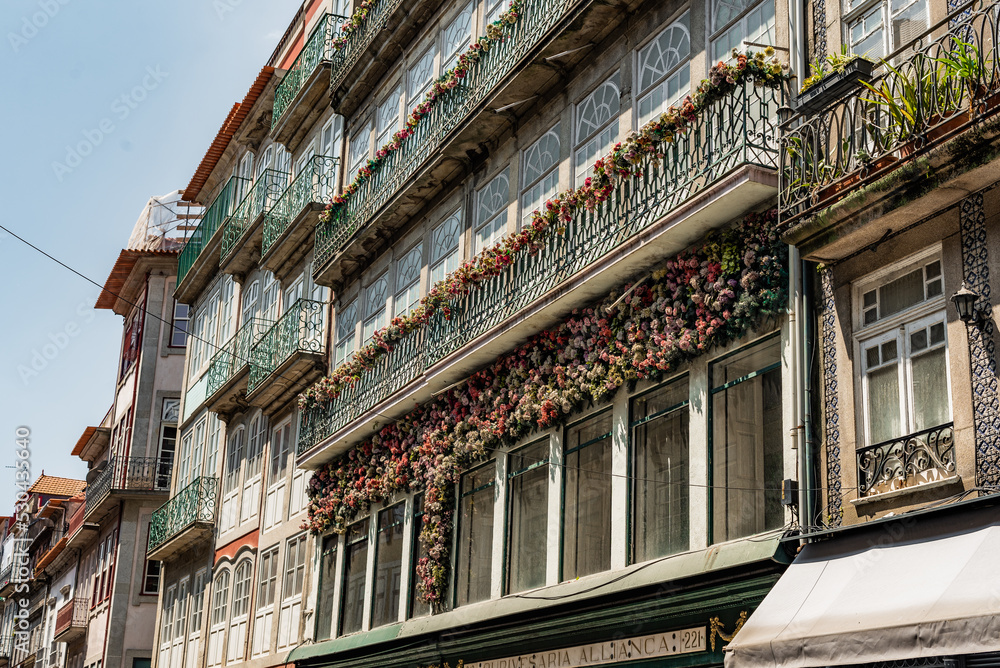 Fototapeta premium Flowers on building