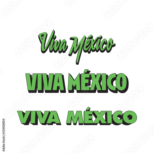 Viva Mexico, traditional mexican phrase holiday. Lettering vector illustration.