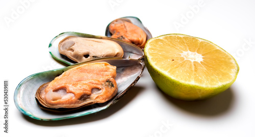 mussels opened with a slice of lemon and a sprig of dill on a white background side view