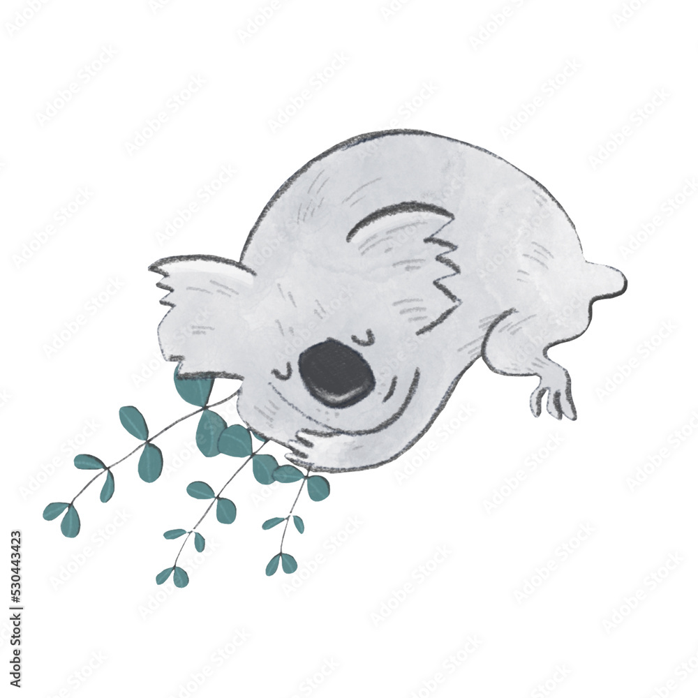 Obraz premium sleepy koala