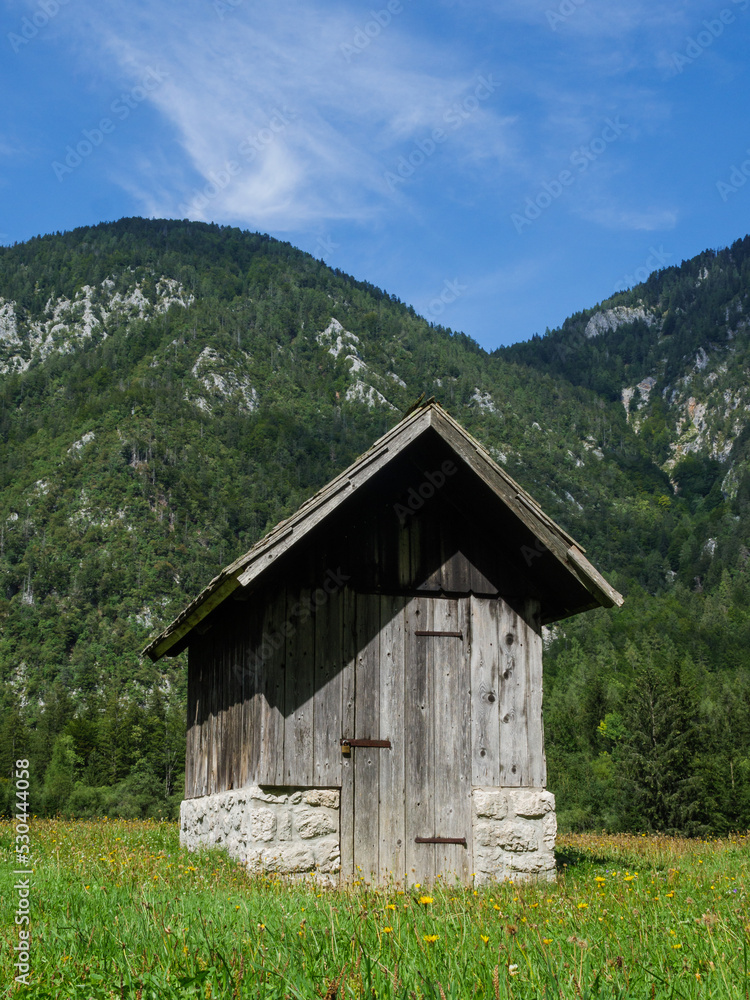 Old wooden and partly stone small house in the middle of a green meadow with the Julian Alps in the background, Triglav National Park, Slovenia