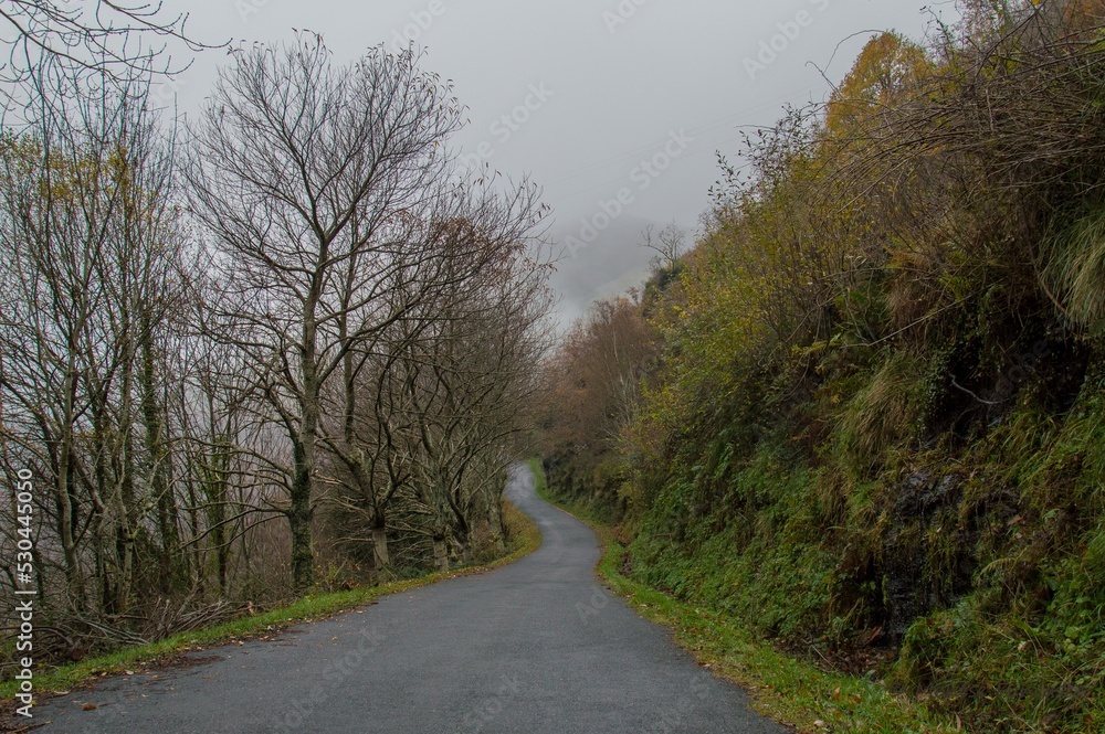 Fototapeta premium Invierno en el norte