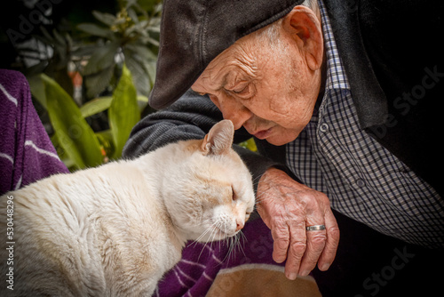 Tableau sur toile Abuelo anciano con una gorra en la cabeza acariciando a su gato blanco