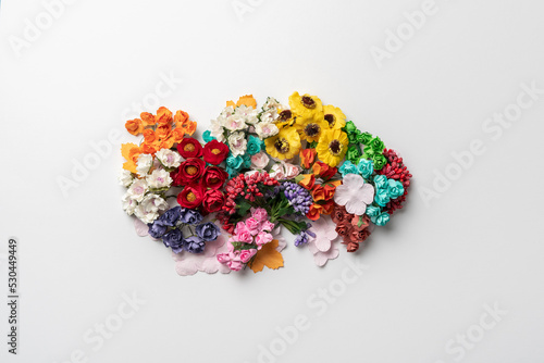 creative flowers layout on the colorful background, natural design concept