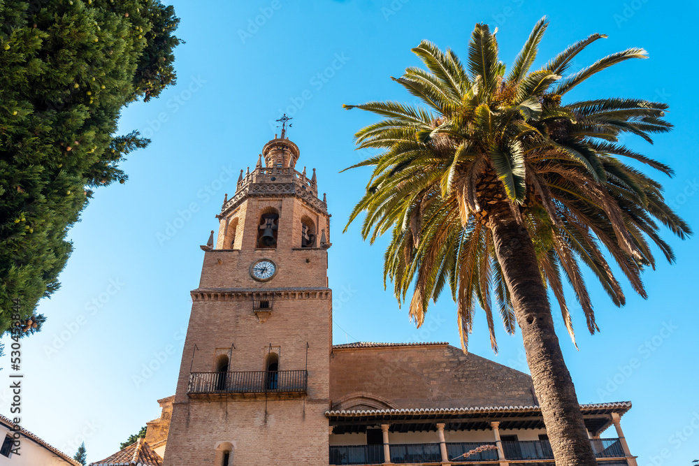Palm trees next to the Church of Santa Maria la Mayor in the historic center of Ronda, Malaga, Andalucia