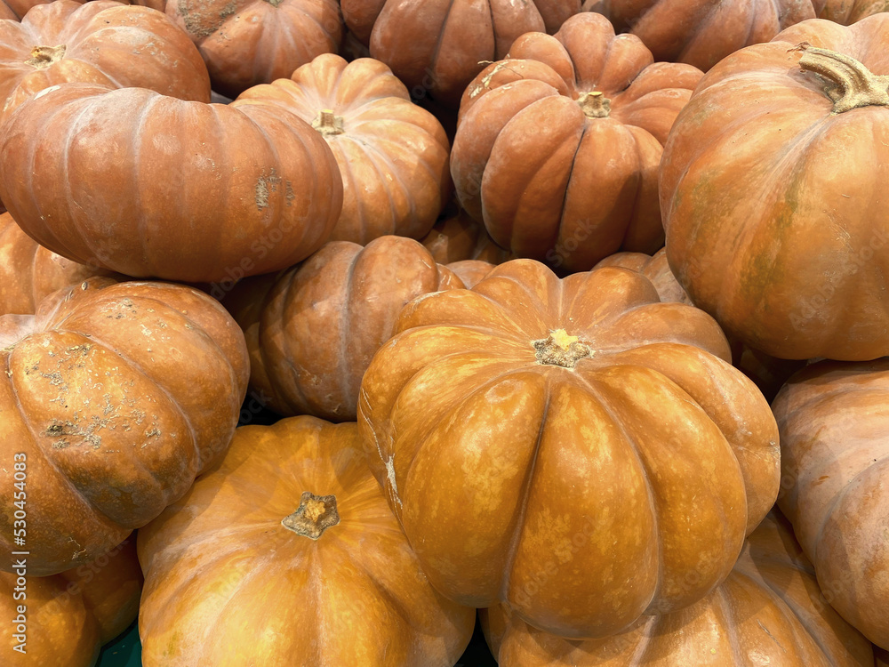 Close-up of pumpkins at the bazaar. Background. Texture. Close-up of pumpkins at the bazaar. Background. Texture.