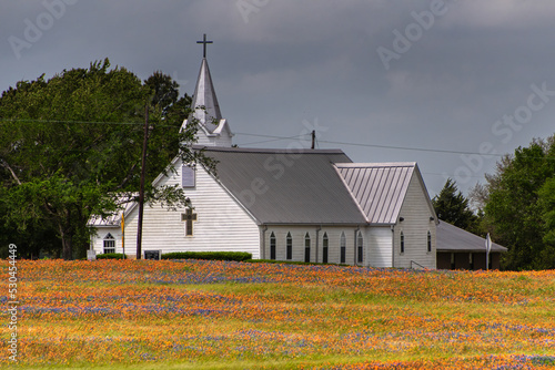 spring time in the Texas Hill country