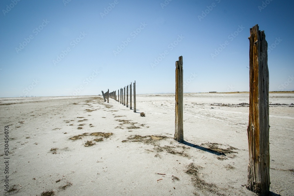 Sky Plant Cloud Wood Natural landscape Landscape Sky Plant Cloud Wood Natural landscape Landscape