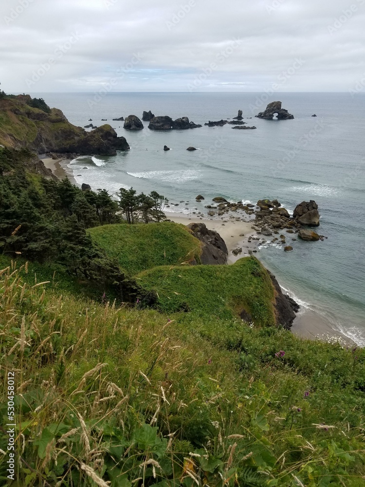 Ecola State Park Water Sky Cloud Plant Natural landscape Ecola State Park Water Sky Cloud Plant Natural landscape