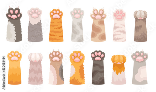 Set of cute cat paws