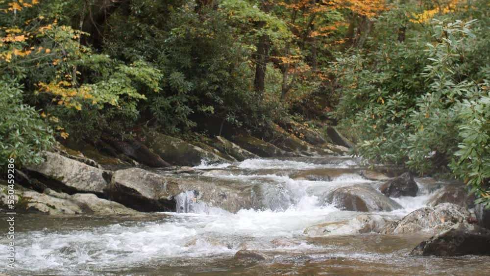 Stream of water cascading down a colorful Autumn mountain forest wilderness Stream of water cascading down a colorful Autumn mountain forest wilderness