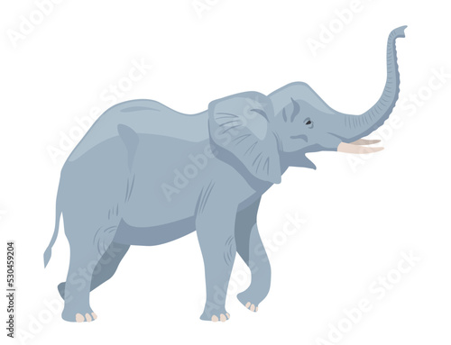 Gray african elephant. Large exotic animal with tusks  trunk and fangs. Mammal from savanna and jungle. Design element for kids encyclopedia. Cartoon flat vector illustration on white background