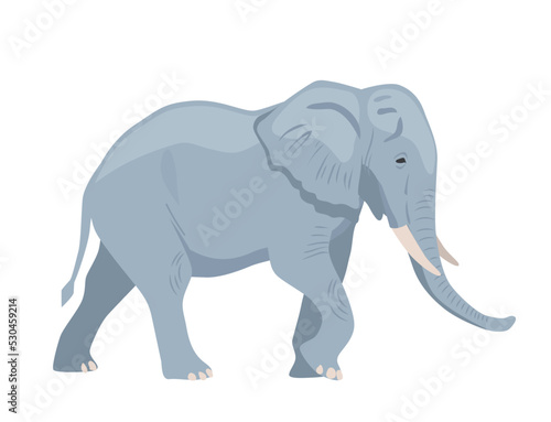 Gray african elephant. Sticker with big heavy animal walking in savannah or jungle. Wild mammal. Design element for printing on paper or fabric. Cartoon flat vector illustration on white background