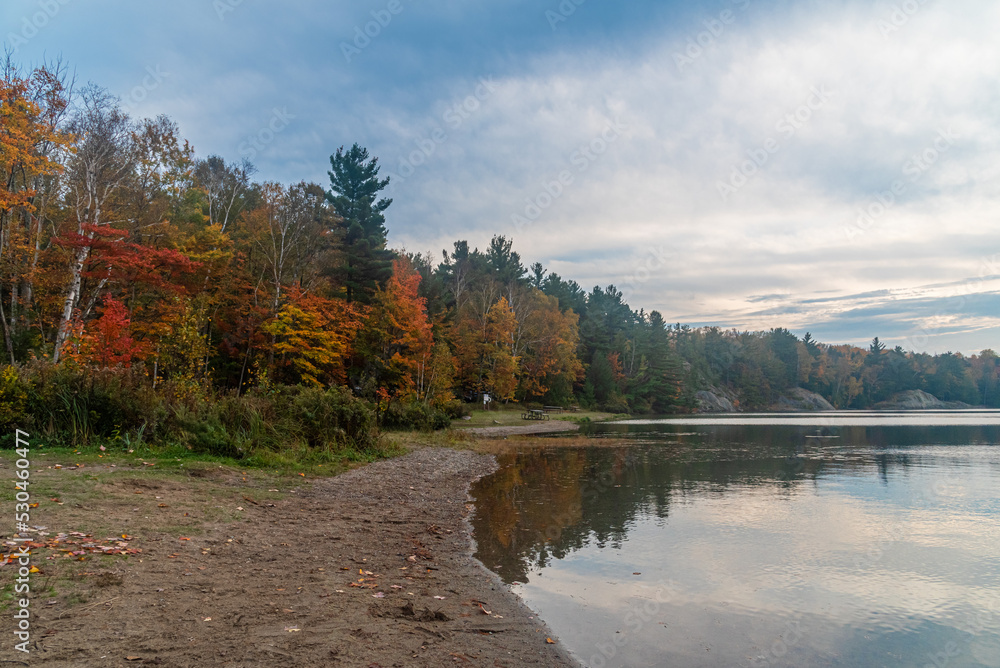 Fototapeta premium Forest lake