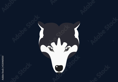Wolf mascot vector art. Frontal symmetrical image of a wolf looks dangerous. Vector icon.