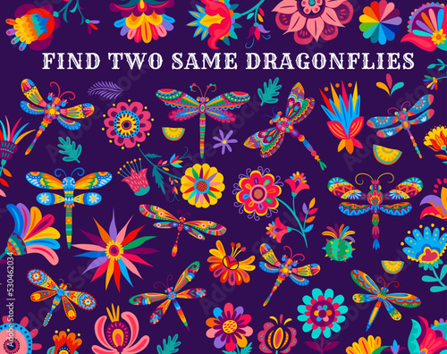 Find two same bright dragonflies, kids game vector worksheet with Mexican flowers. Children puzzle riddle or tabletop game to find similar items of Mexican dragonfly insect on flower and cactus