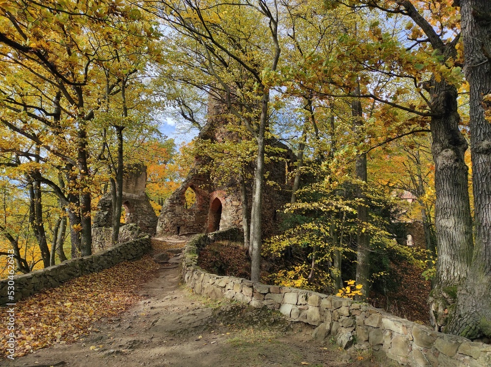 Ruin of a old castle among autumn trees, old castle ksiaz w walbrzych, ksiaz castle, ruins of a castle in walbrzych, stone path among trees that leads to a ruin old building
