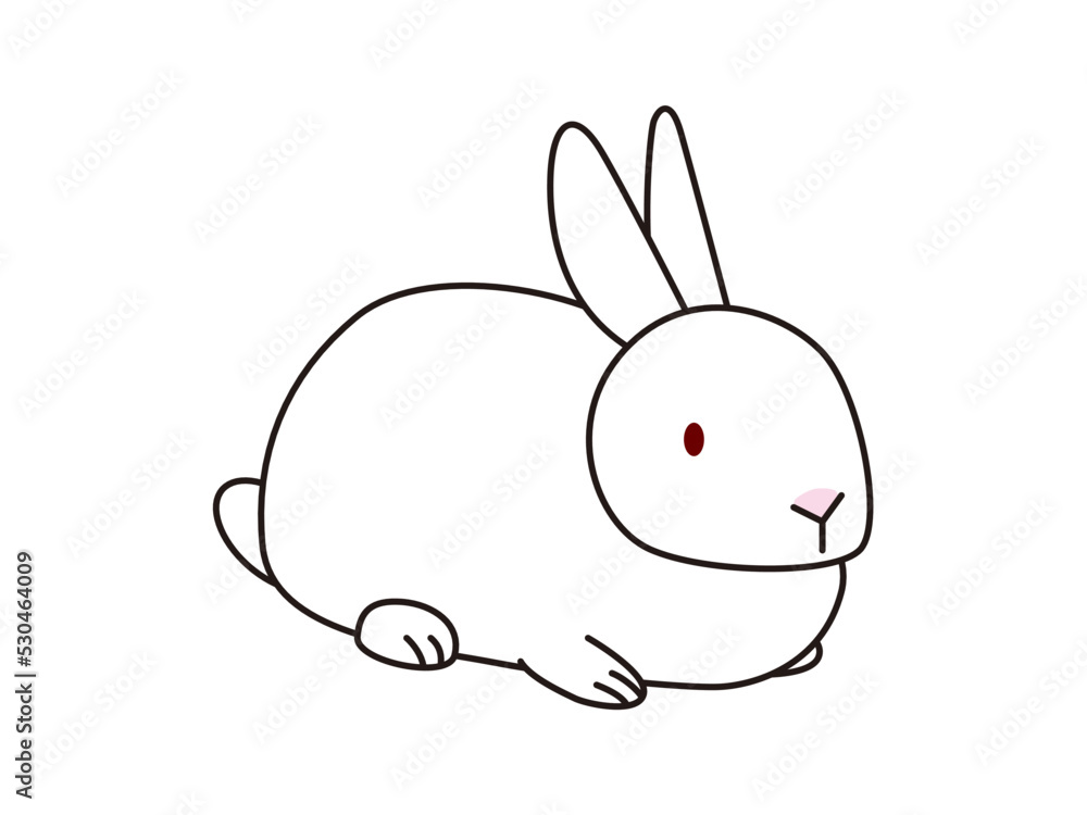 座っている白いうさぎ 斜め前からの視点 座っている白いうさぎ 斜め前からの視点