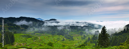 Panorama of the early morning fog over the rice field valley