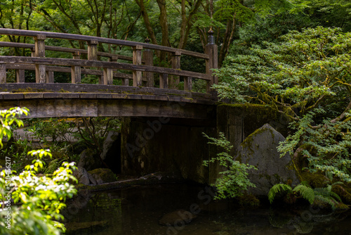 old bridge in a Japanese forest