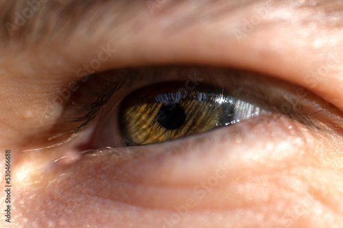 close up of a hazel eye