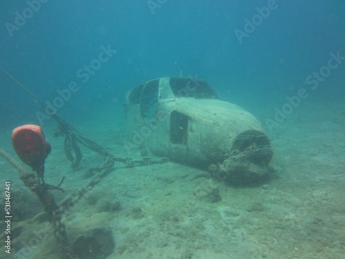 Water Fluid Underwater Underwater diving Fin Marine biology