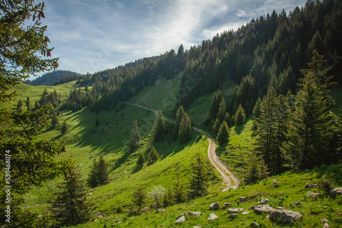 La tête du Parmelan