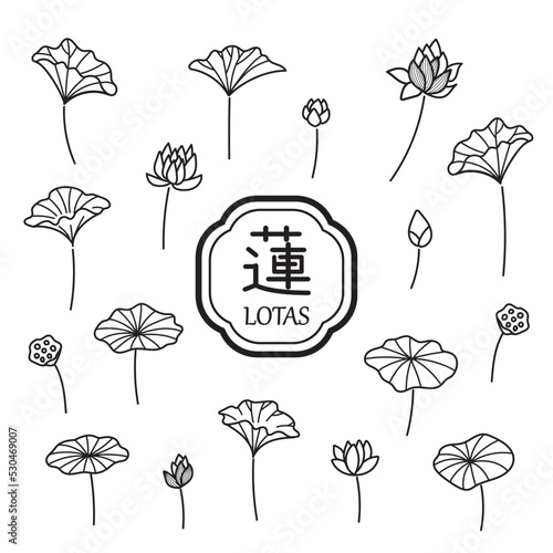 蓮のイラスト9　モノクロ線画　ペン画風