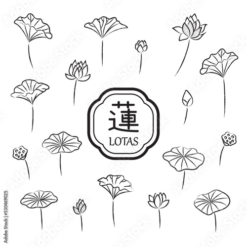 蓮のイラスト10　モノクロ線画手書き風