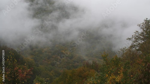 Misty fog covers a Autumn colored forest at the Great Smoky Mountings of Tennessee  photo