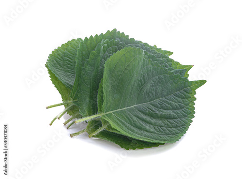 korean sesame leaves on white background