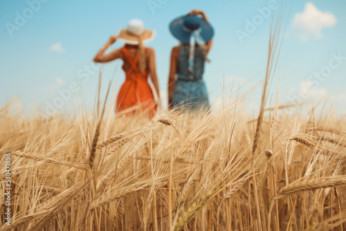 beautiful girls in hats in the field