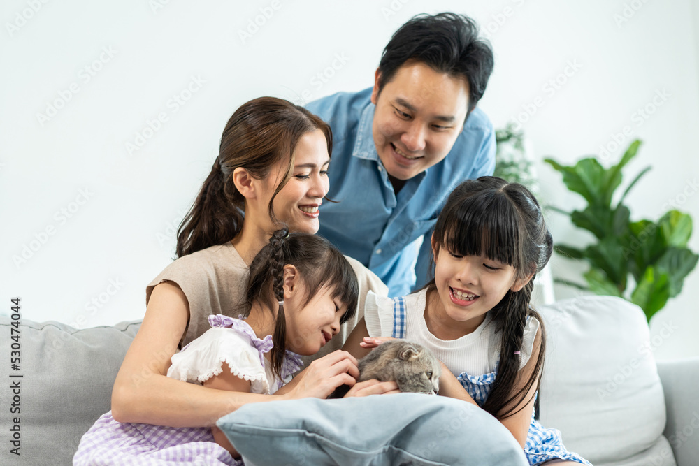 Asian loving couple and young daughter stroking a cat in living room. Asian loving couple and young daughter stroking a cat in living room.