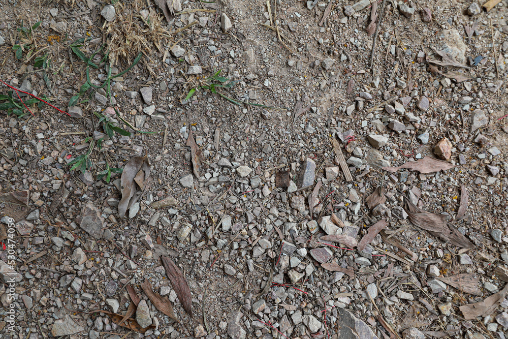 Ground texture background of desert soil, dusty land, dry earth and sand Ground texture background of desert soil, dusty land, dry earth and sand