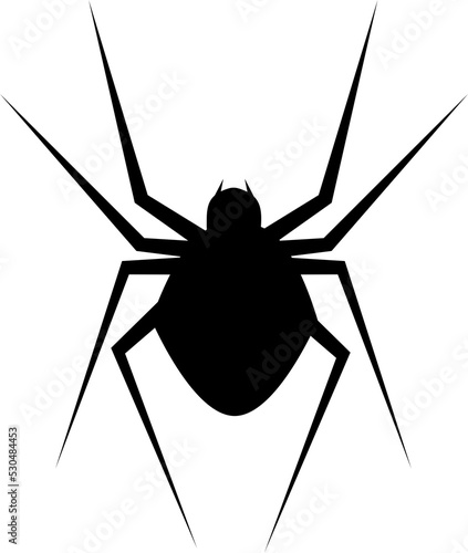 Halloween spider icon 