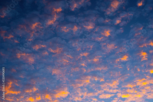 Stunning orange altocumulus clouds at sunset / sunrise. Amazing colorful sky.  Orange clouds on blue sky background photo