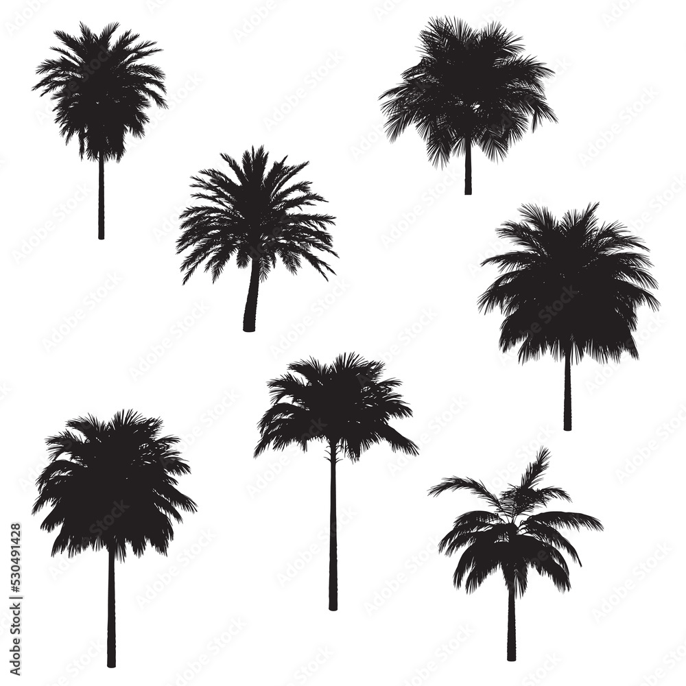 Palm trees black silhouette Palm trees black silhouette