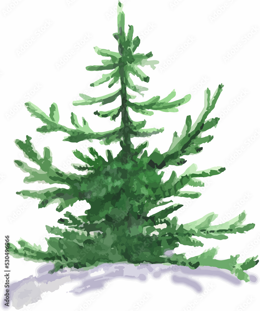 illustration of a spruce in the snow, green on a white background Drawing for a poster or template
