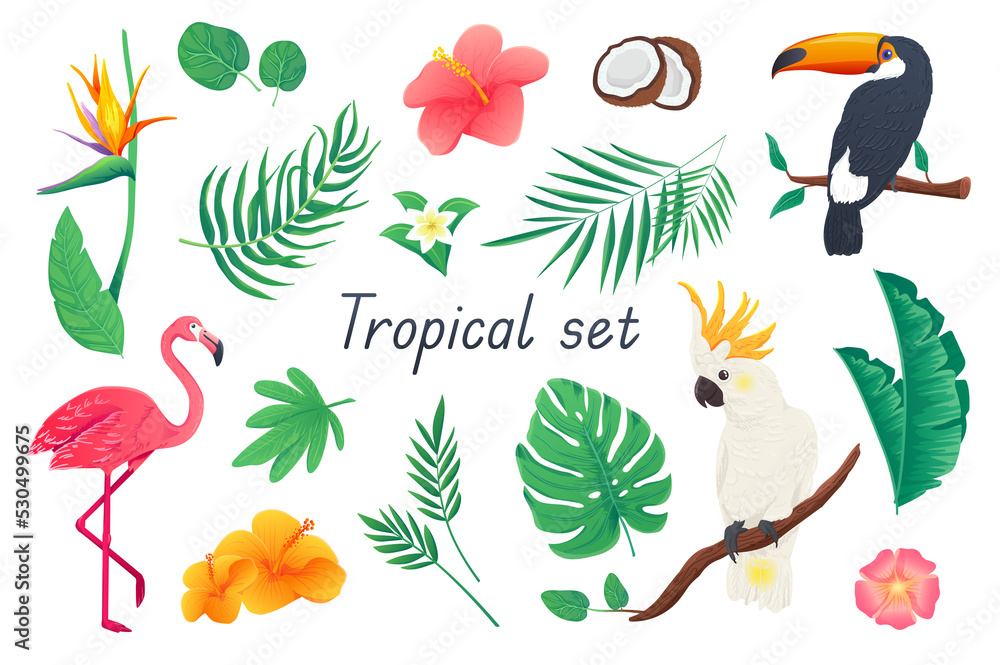 Fototapeta premium Tropical 3d realistic set. Bundle of colorful flowers and palms or monstera leaves, hibiscus, coconut, toucan, cockatoo parrot, flamingo and other exotic jungle isolated elements. Illustration