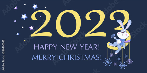 Cute Rabbit. 2023. MERRY CHRISTMAS. HAPPY NEW YEAR. Rabbit symbol of 2023. Chinese calendar.