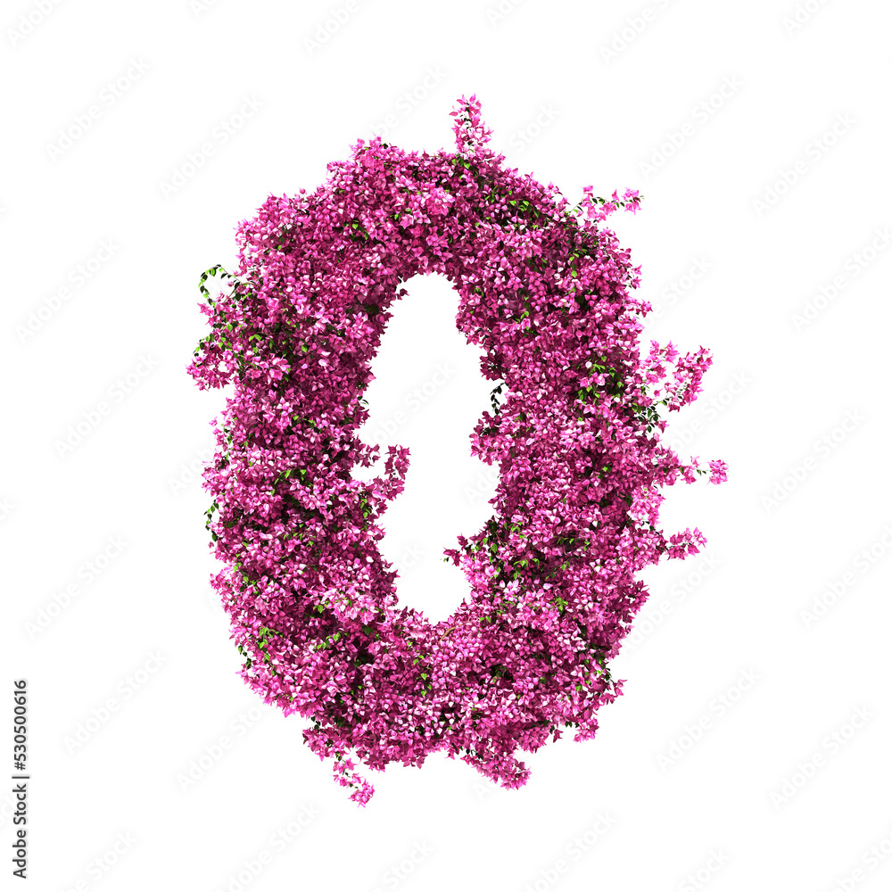 3d rendering of Bougainvillea number isolated 3d rendering of Bougainvillea number isolated