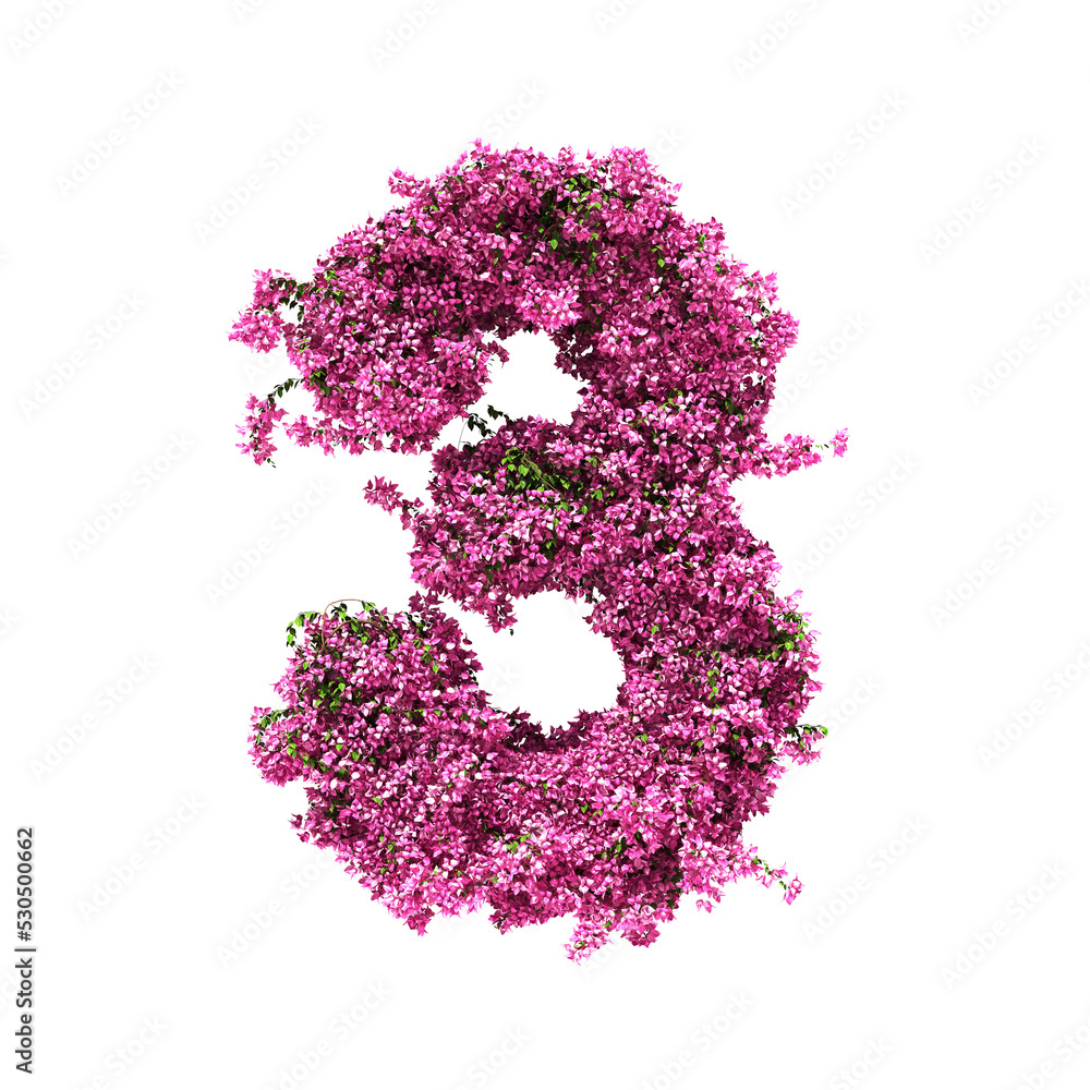 3d rendering of Bougainvillea number isolated