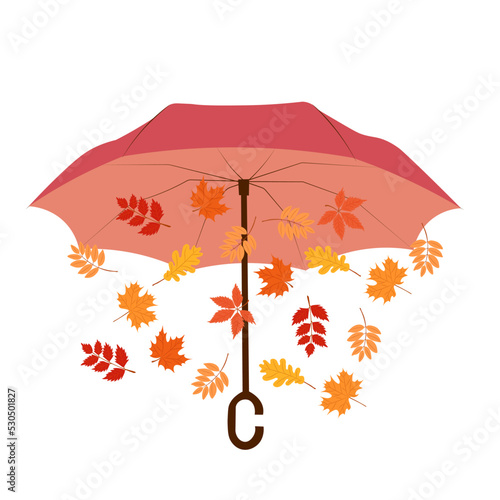 vector illustration of open umbrella with autumn leaves in flat style.Umbrella in autumn boho colors